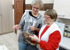 Zdjęcie z galerii: 082_2016 Warsztaty plecionkarskie