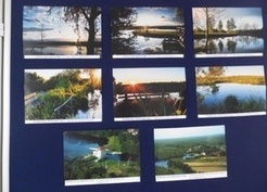 Zdjęcie z galerii: 46_2015 II Święto Ryby i Wody