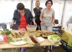 Zdjęcie z galerii: 46_2015 II Święto Ryby i Wody