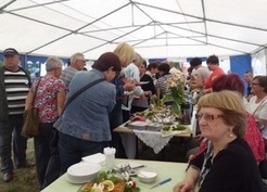 Zdjęcie z galerii: 46_2015 II Święto Ryby i Wody