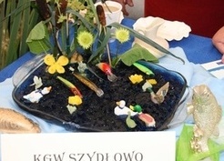 Zdjęcie z galerii: 46_2015 II Święto Ryby i Wody